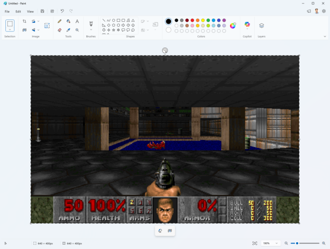 DoomPaint