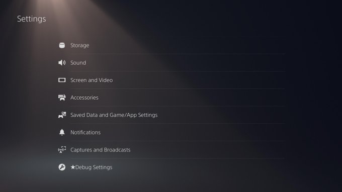 PS5-Debug-settings