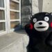 kumamon
